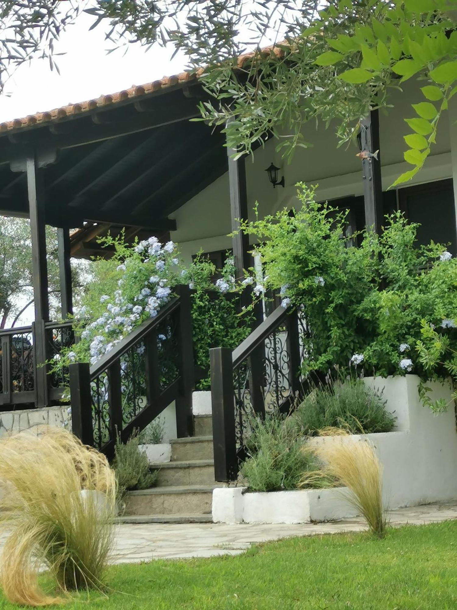 Villa Joy ออร์โมส ปานากีอาส ภายนอก รูปภาพ